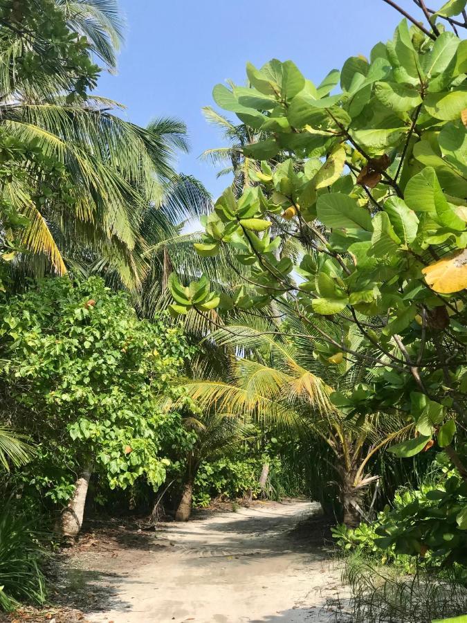 Ahiva Village Đảo Đảo Fulhadhoo Ngoại thất bức ảnh
