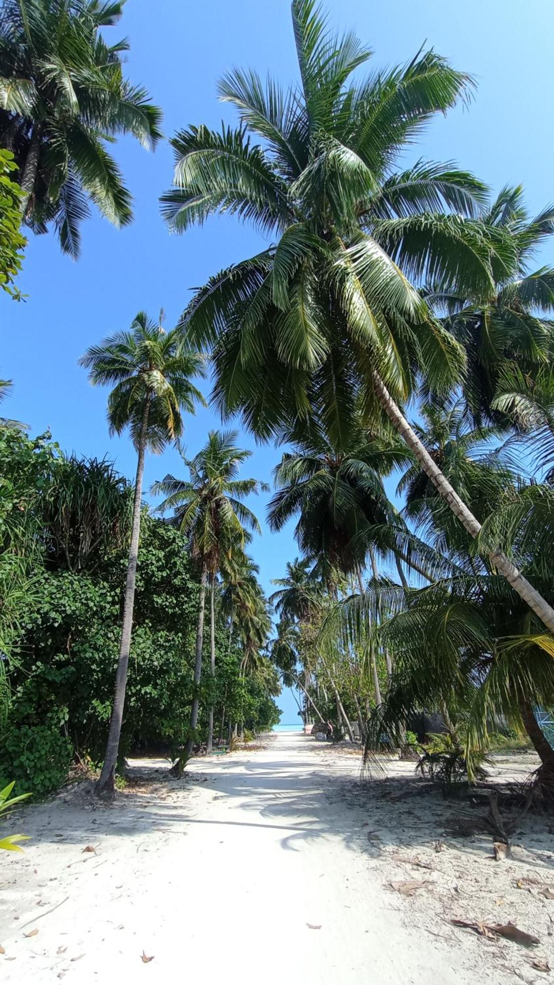 Ahiva Village Đảo Đảo Fulhadhoo Ngoại thất bức ảnh