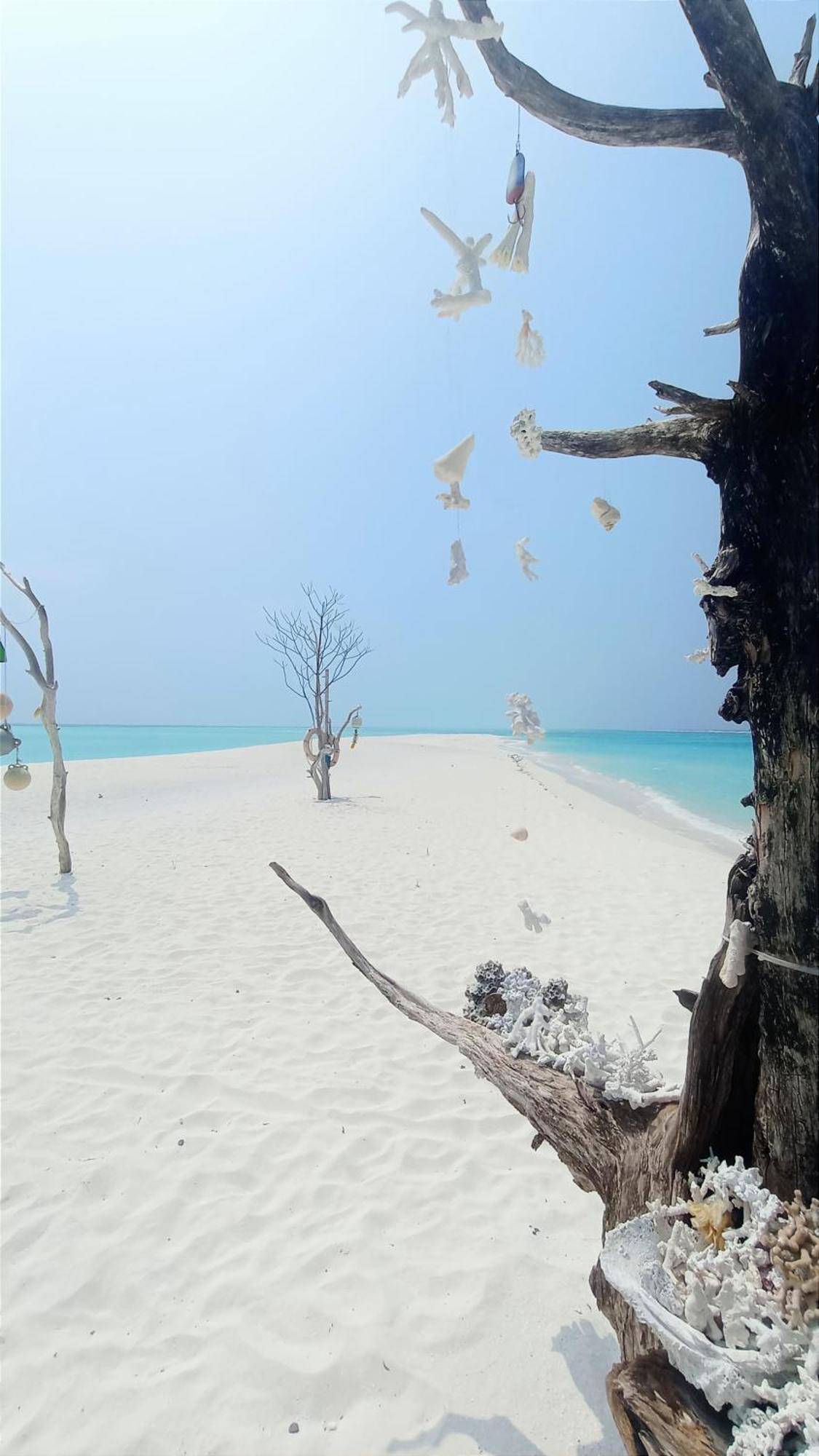 Ahiva Village Đảo Đảo Fulhadhoo Ngoại thất bức ảnh